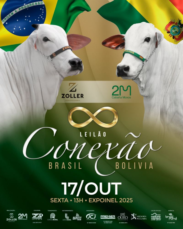 Leilão Conexão Brasil Bolívia