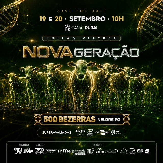 Leilão Virtual Nova Geração - 500 Bezerras