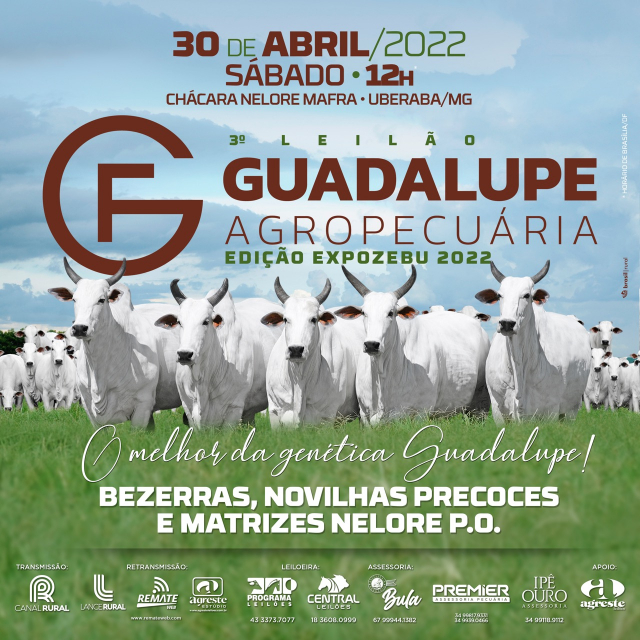 3° Leilão Guadalupe Agropecuária - Edição Expozebu 2022