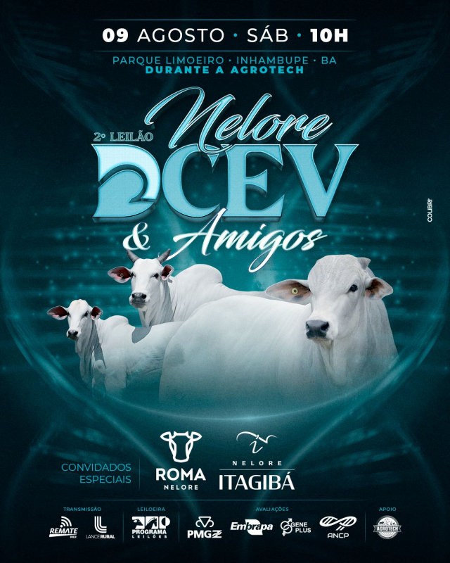 2º Leilão Nelore DCEV e Amigos