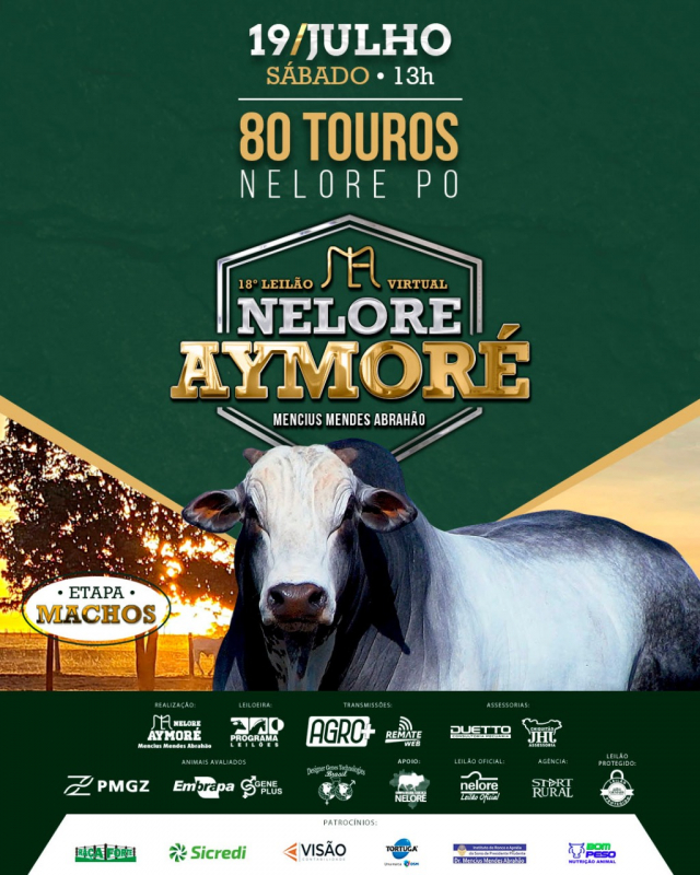 18º Virtual Touros Aymoré - Touros