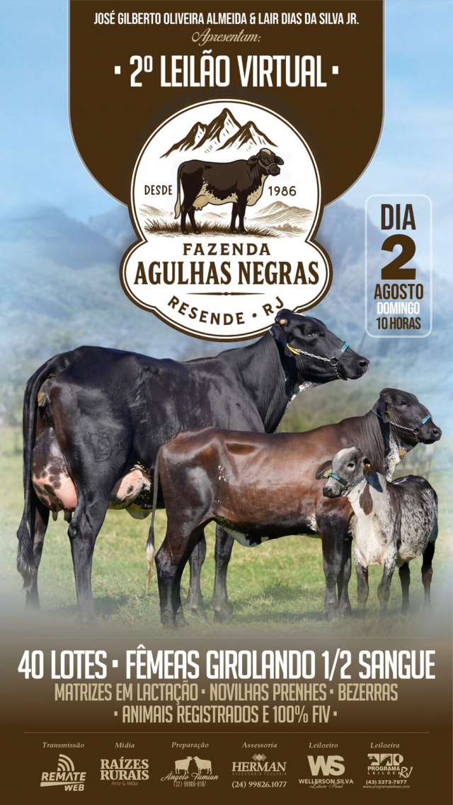 2º Leilão Virtual Fazenda Agulhas Negras - Girolando