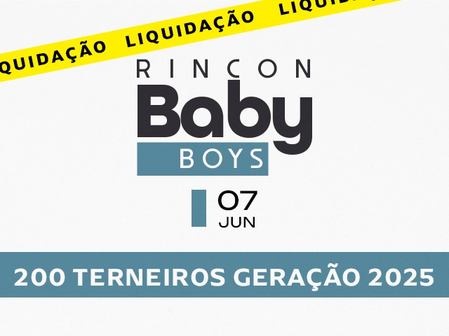 Leilão Rincon Baby Boys