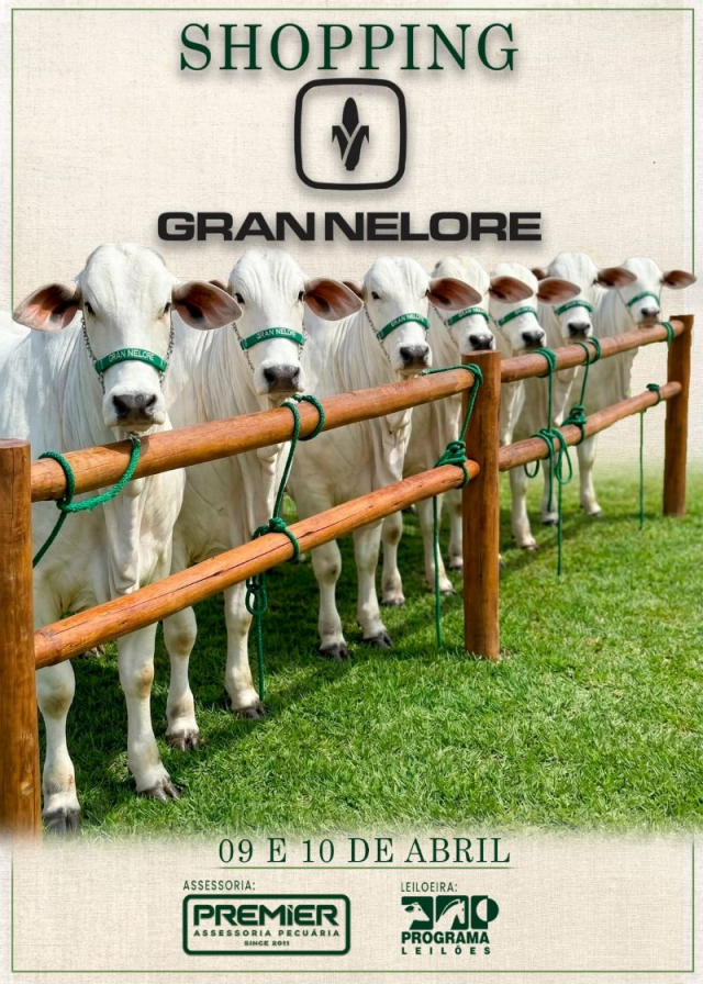 Shopping Gran Nelore