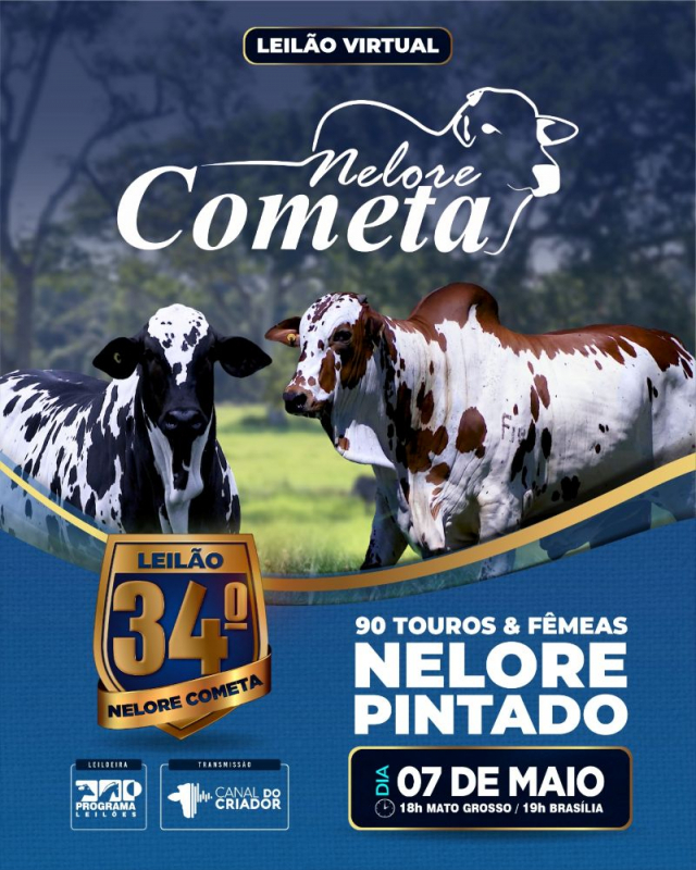 34º Leilão Virtual Nelore Cometa - Nelore Pintado