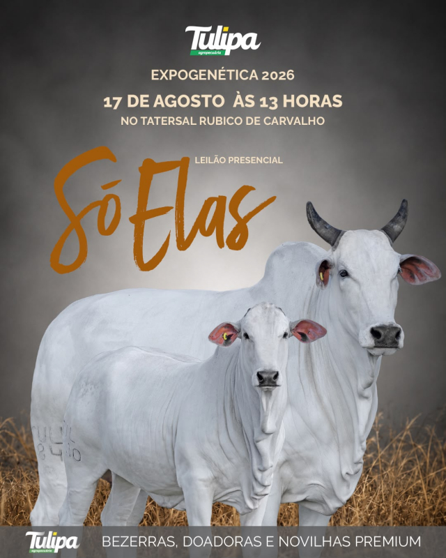 Leilão Só Elas - Tulipa Agropecuária - Expogenética 2026