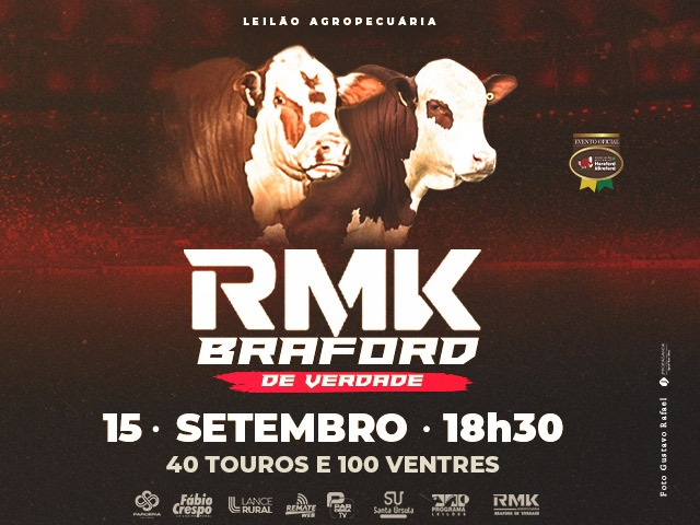 Leilão Agropecuária RMK Braford de Verdade