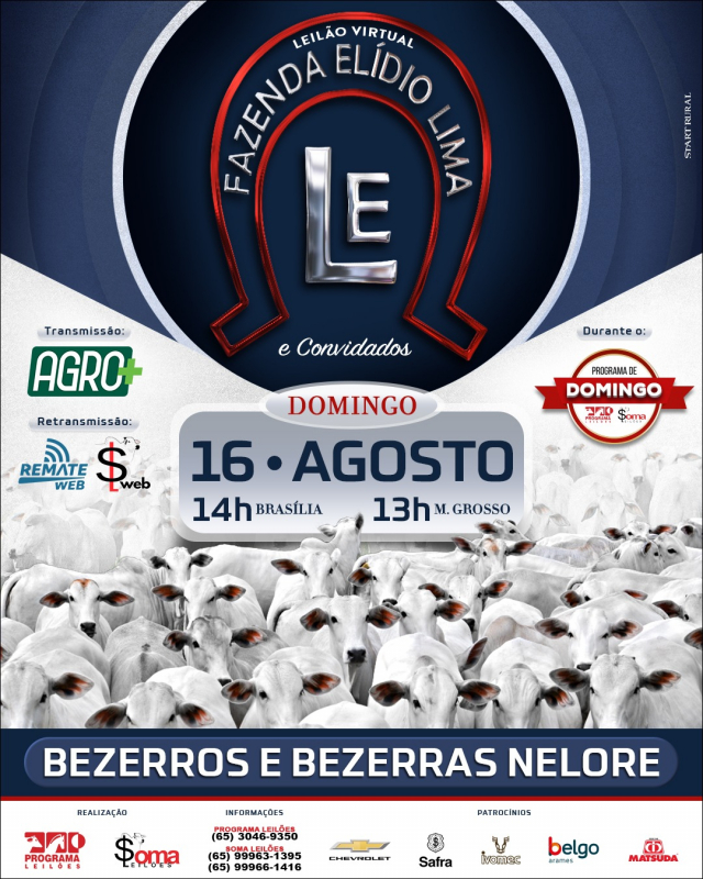 Leilão Virtual Fazenda Elidio Lima 161° Programa de Domingo