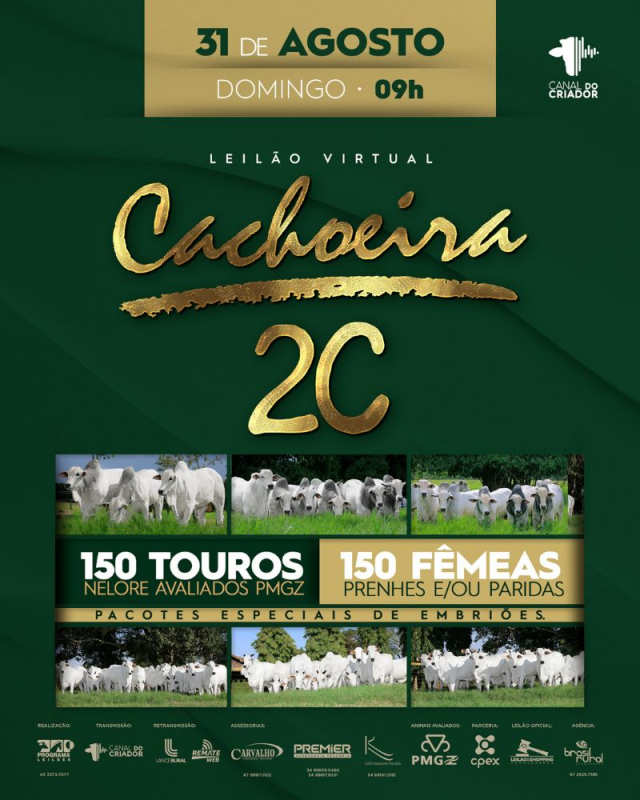 Leilão Virtual Fazenda Cachoeira 2C