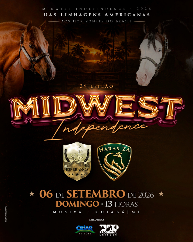 3° Leilão Midwest