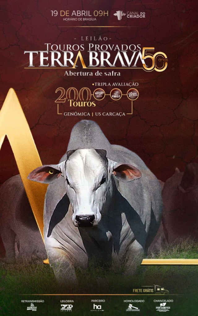 Leilão Virtual Touros Provados Terra Brava 50 anos