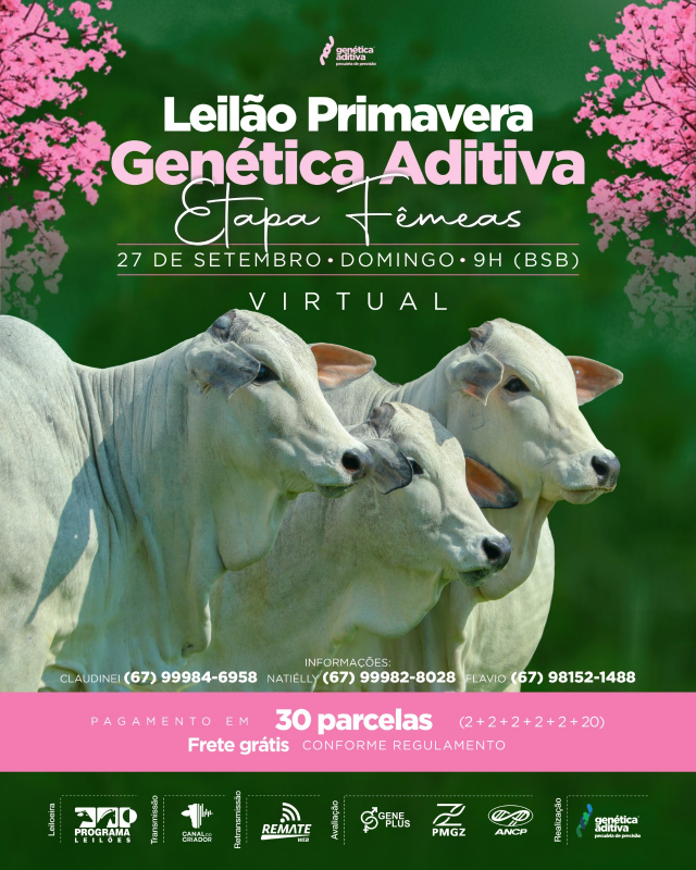 Leilão Primavera Genética Aditiva - Etapa Fêmeas