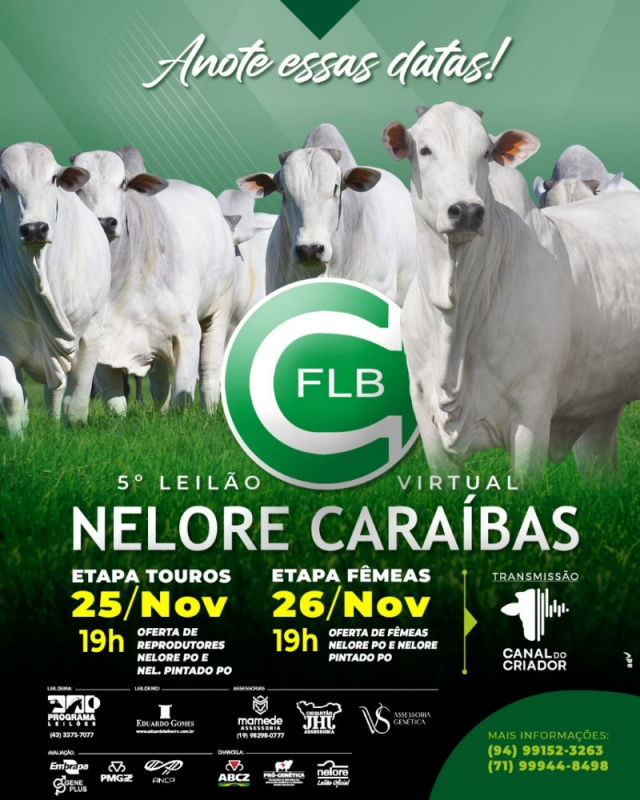 5º Leilão Virtual Nelore Caraíbas - Etapa Fêmeas