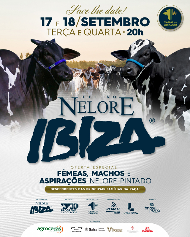 Leilão Virtual Nelore Pintado Ibiza