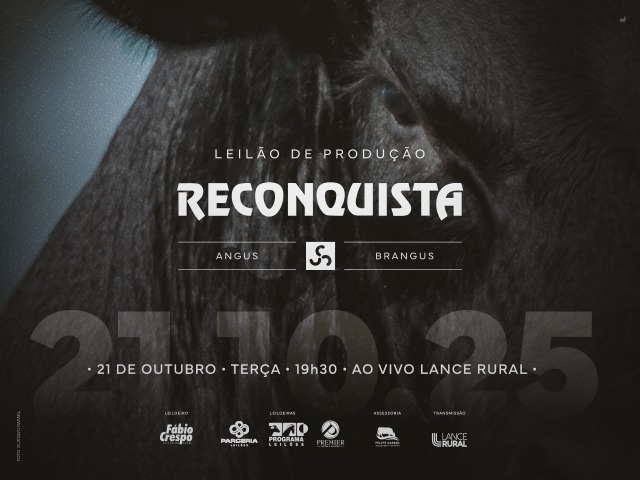 Leilão Virtual Produção Reconquista