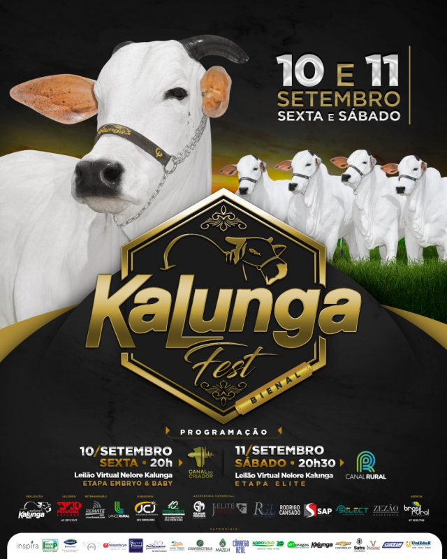 Kalunga Fest - Etapa Embryo e Baby