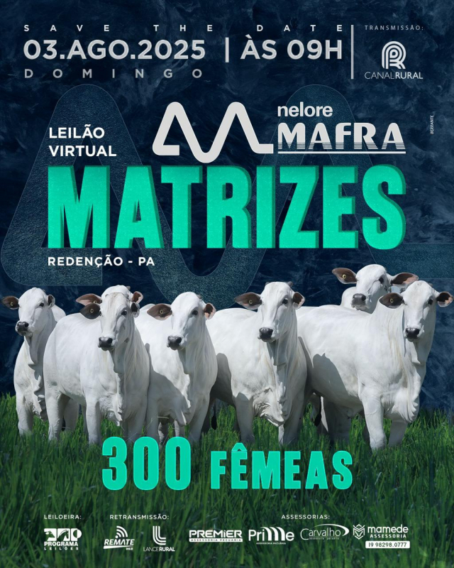Leilão Virtual Matrizes Nelore Mafra