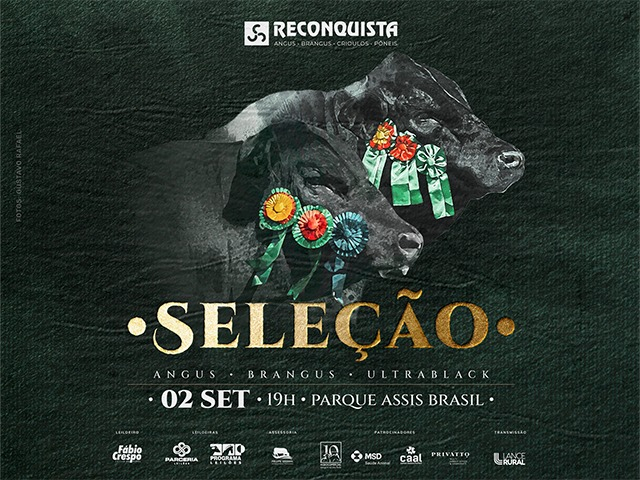 Leilão Seleção - Reconquista