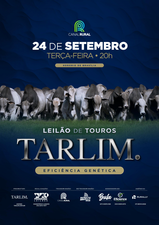 Leilão Virtual Tarlim - Touros