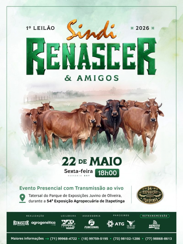 1º Leilão Virtual Sindi Renascer e Amigos