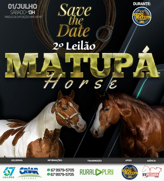 2° Leilão Matupá Horse