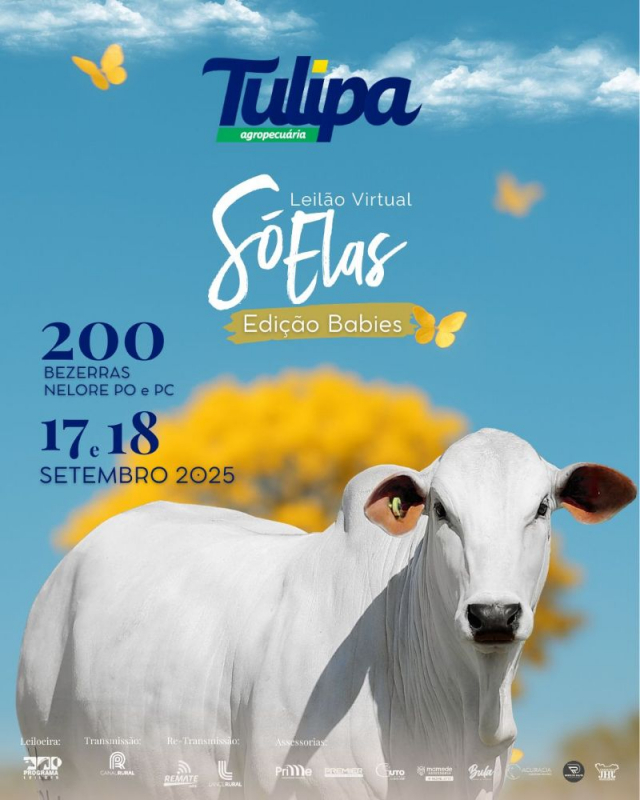 Leilão Virtual Só Elas Tulipa Agropecuária  - Edição Babies.
