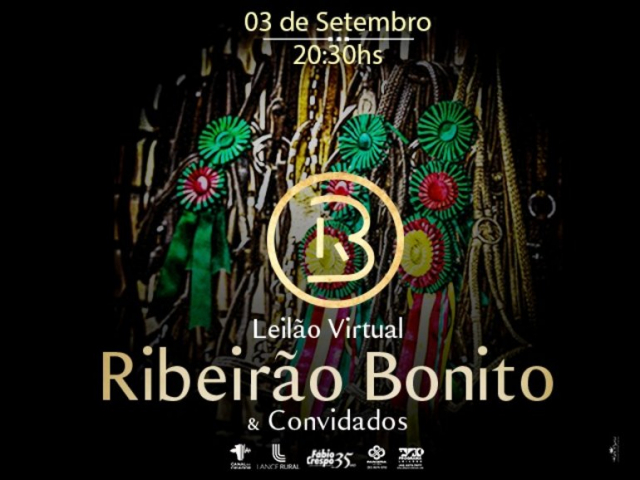 Leilão Virtual Ribeirão Bonito & Convidados