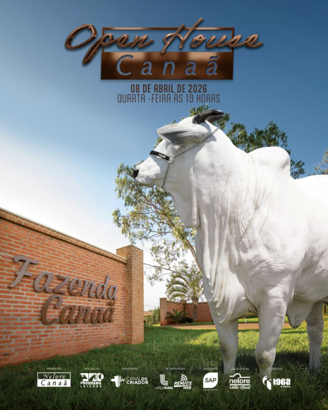 Leilão Open House Canaã