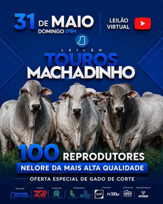 Leilão Virtual Touros Machadinho