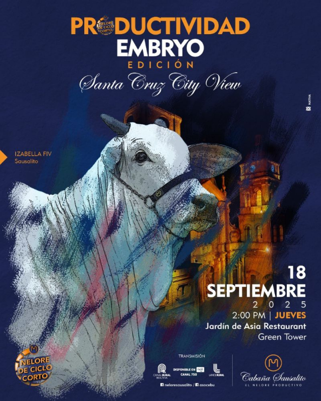 Leilão Productividad Embryo - Edición Santa Cruz City View