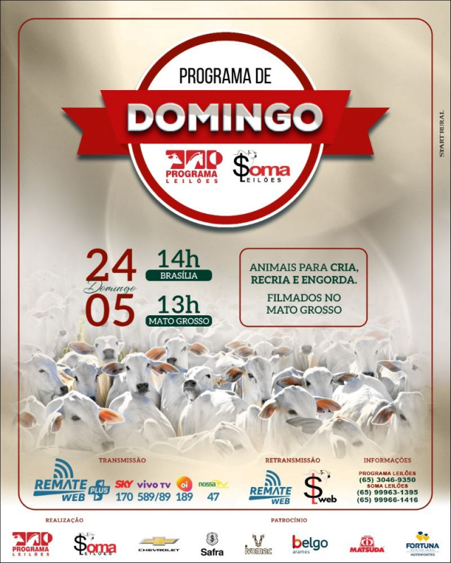 153° Programa de Domingo - Programa e Soma Leilões