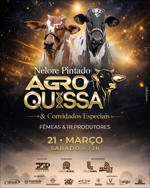 Leilão Virtual Nelore Pintado Agro Quissa e Convidados Especiais