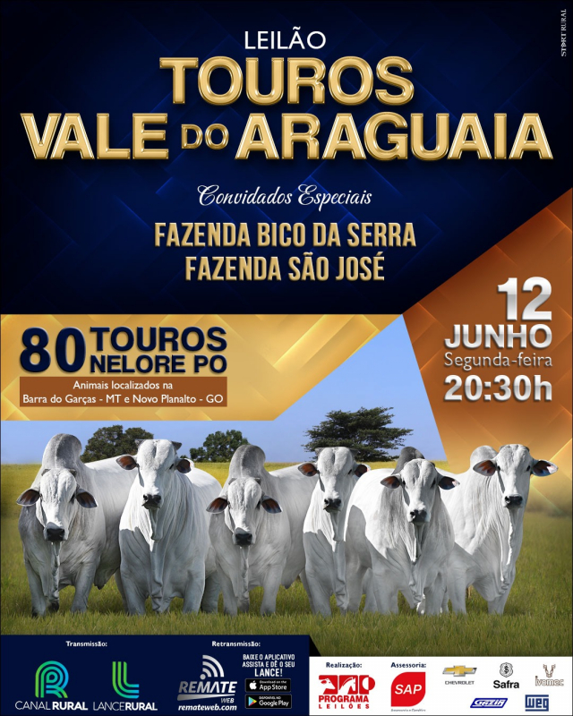 Leilão Touros Vale do Araguaia