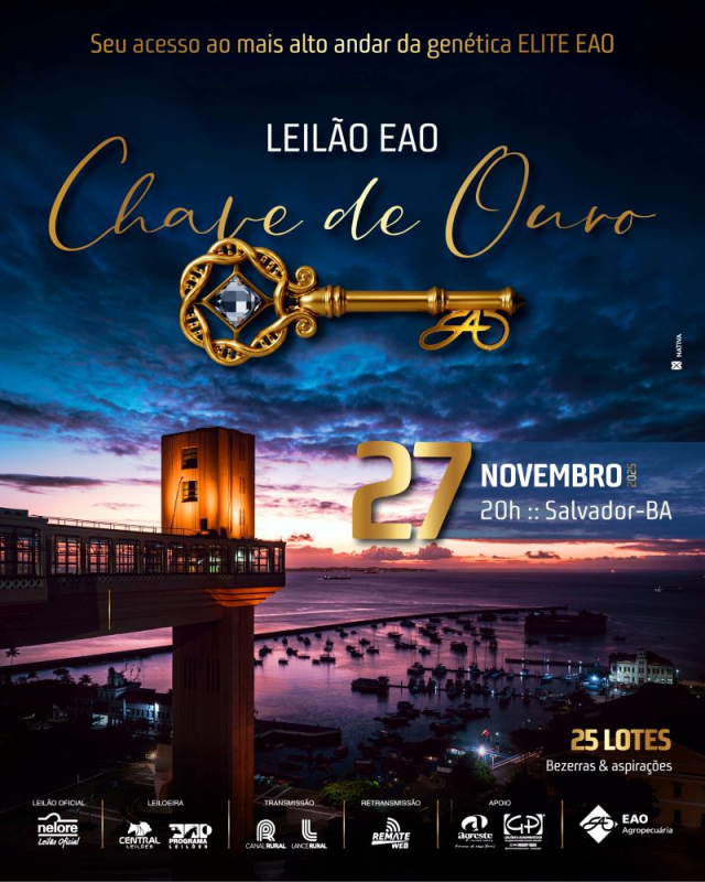 Leilão EAO Chave de Ouro