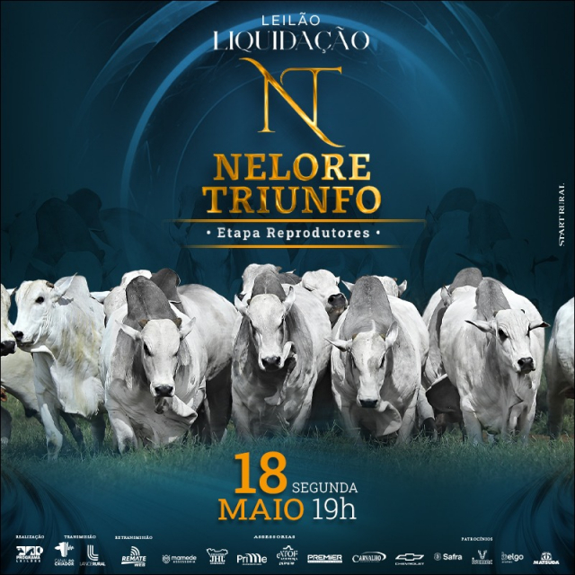 Leilão Virtual Liquidação Nelore Triunfo - Etapa Reprodutores