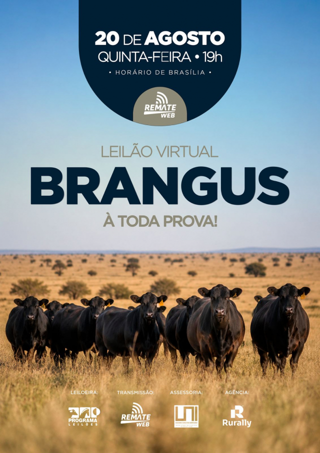 Leilão Virtual Brangus - À Toda Prova