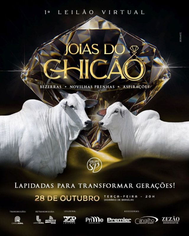 1º Leilão Virtual Jóias do Chicão