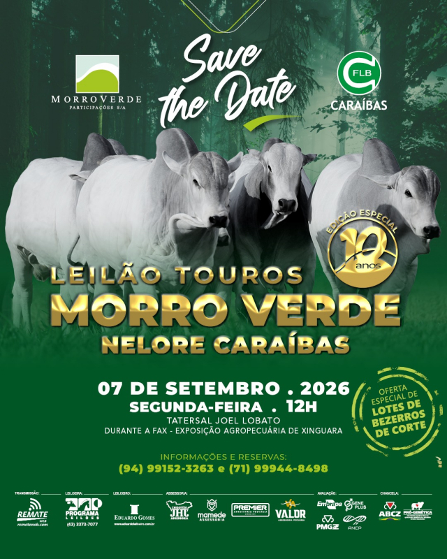 Leilão Touros Morro Verde Nelore Caraíbas