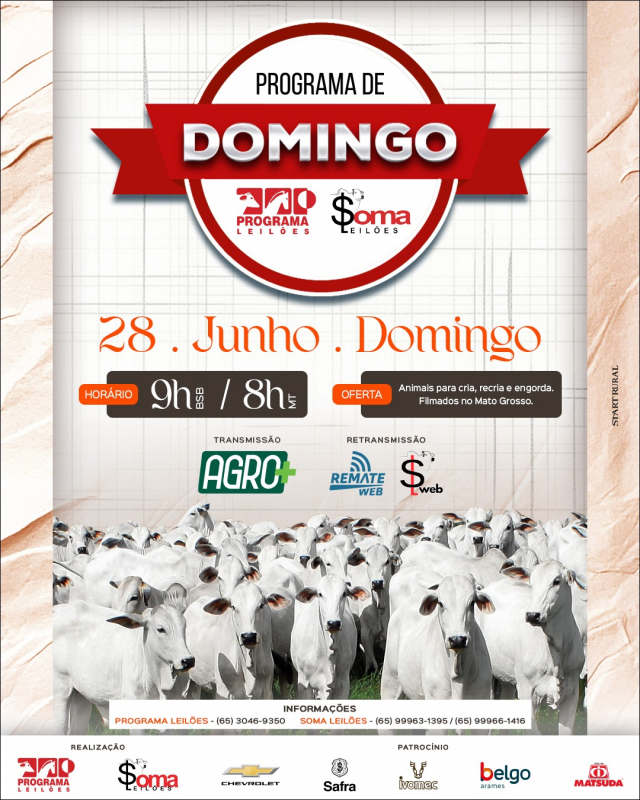 156° Programa de Domingo - Programa e Soma Leilões