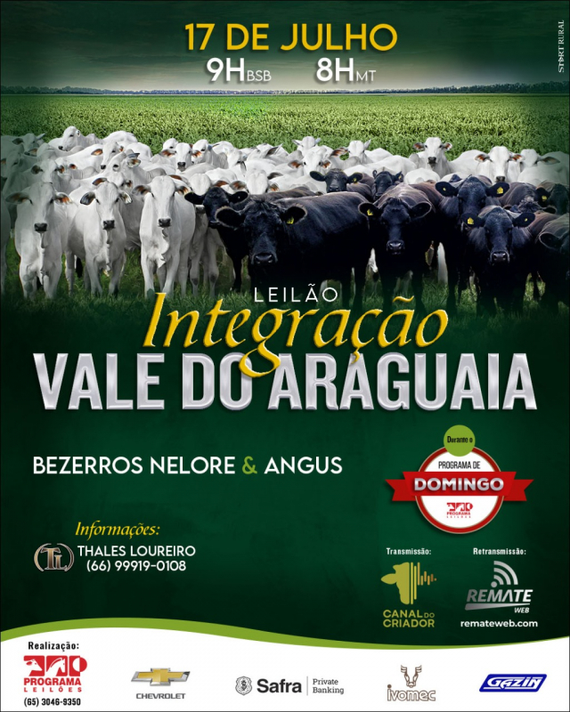 Leilão Integração Vale do Araguaia
