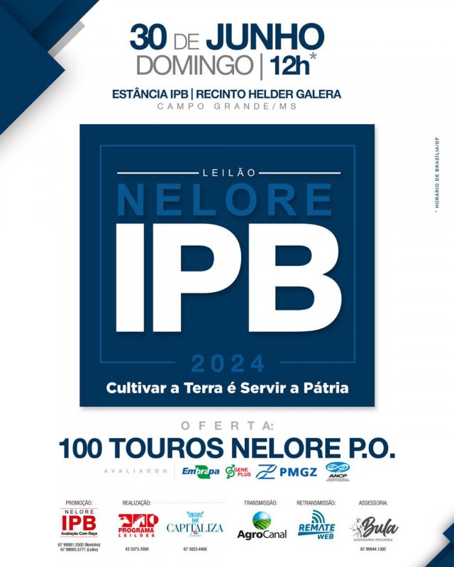 Leilão Touros IPB 2024