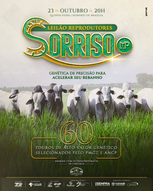 Leilão Virtual Reprodutores Nelore Sorriso