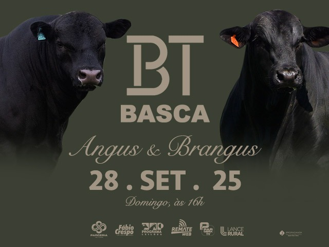 Leilão Virtual BT Basca - Angus e Brangus