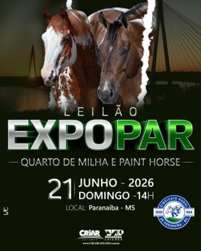 Leilão Expopar Quarto de Milha e Paint Horse