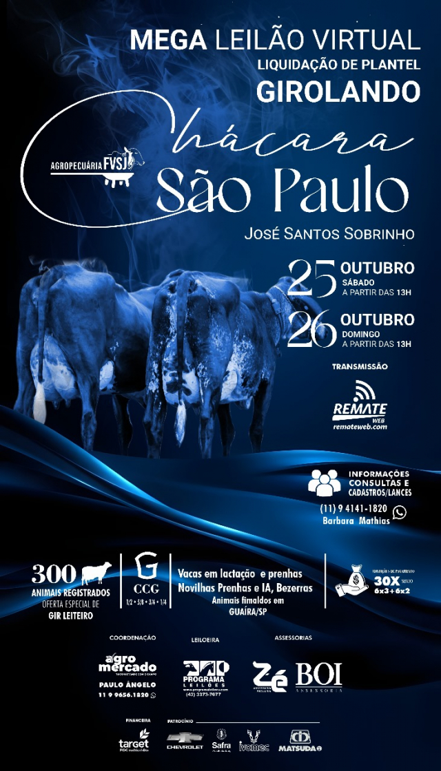 Mega Leilão Liquidação Virtual Chácara São Paulo - 2º Etapa