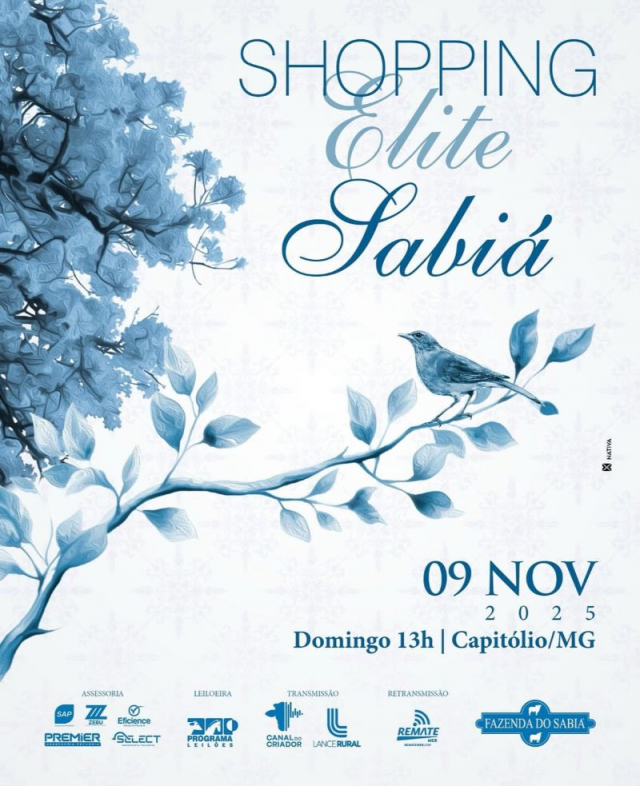 Leilão Shopping Elite Sabiá