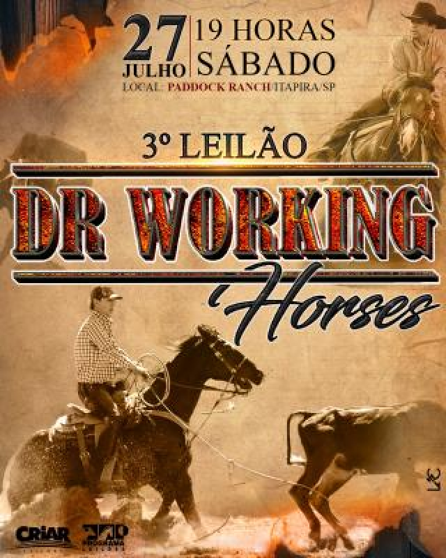3º Leilão Dr Working  Horses