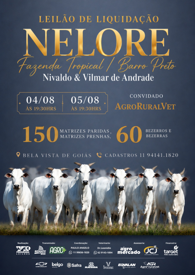 Leilão de Liquidação Nelore Fazenda Barro Preto