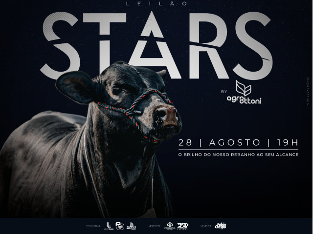 Leilão Stars by Agroottoni - Expointer 2026
