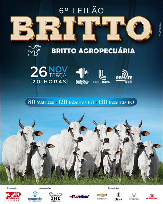 6° Leilão Virtual Britto Agropecuária